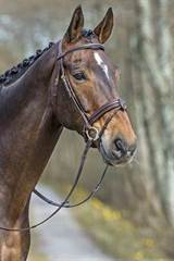 MH Top Select hodelag