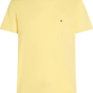Ess Seasonal Reg Fit Solid Tee